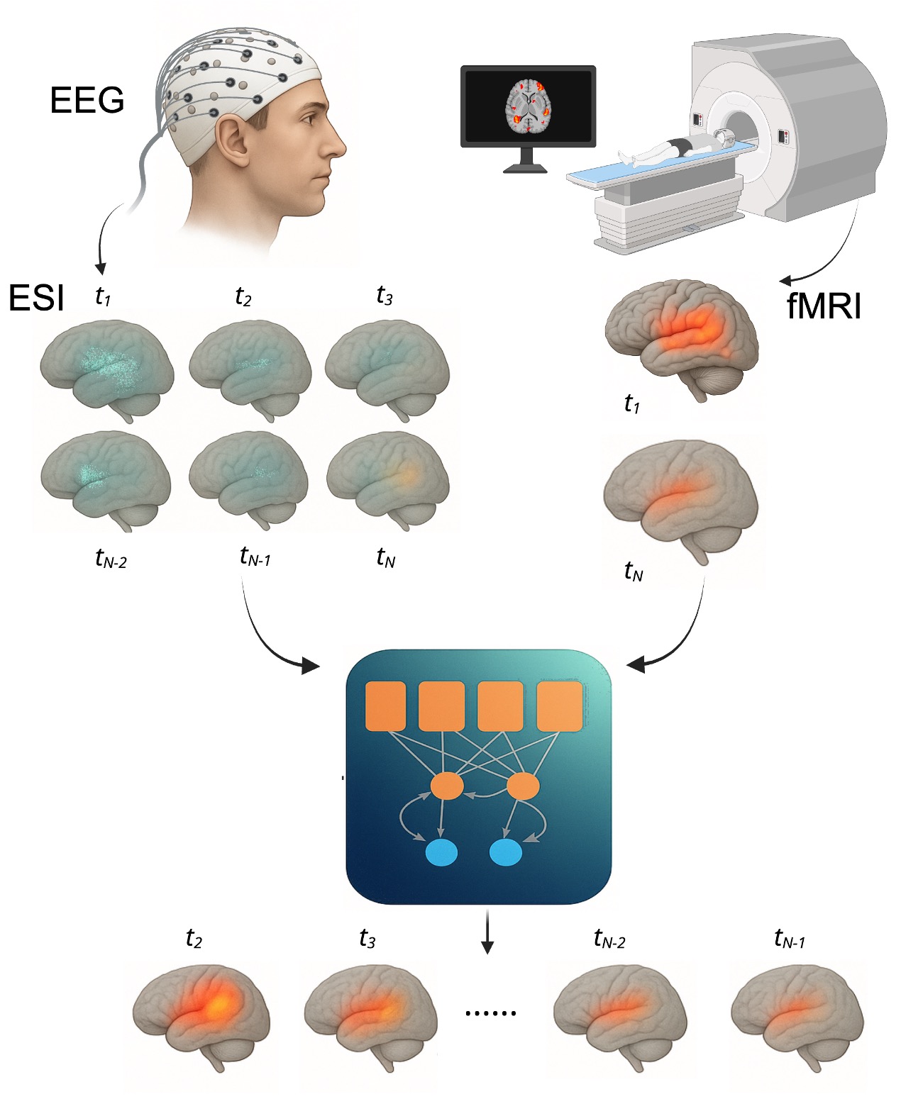 ESI Interpolating fMRI